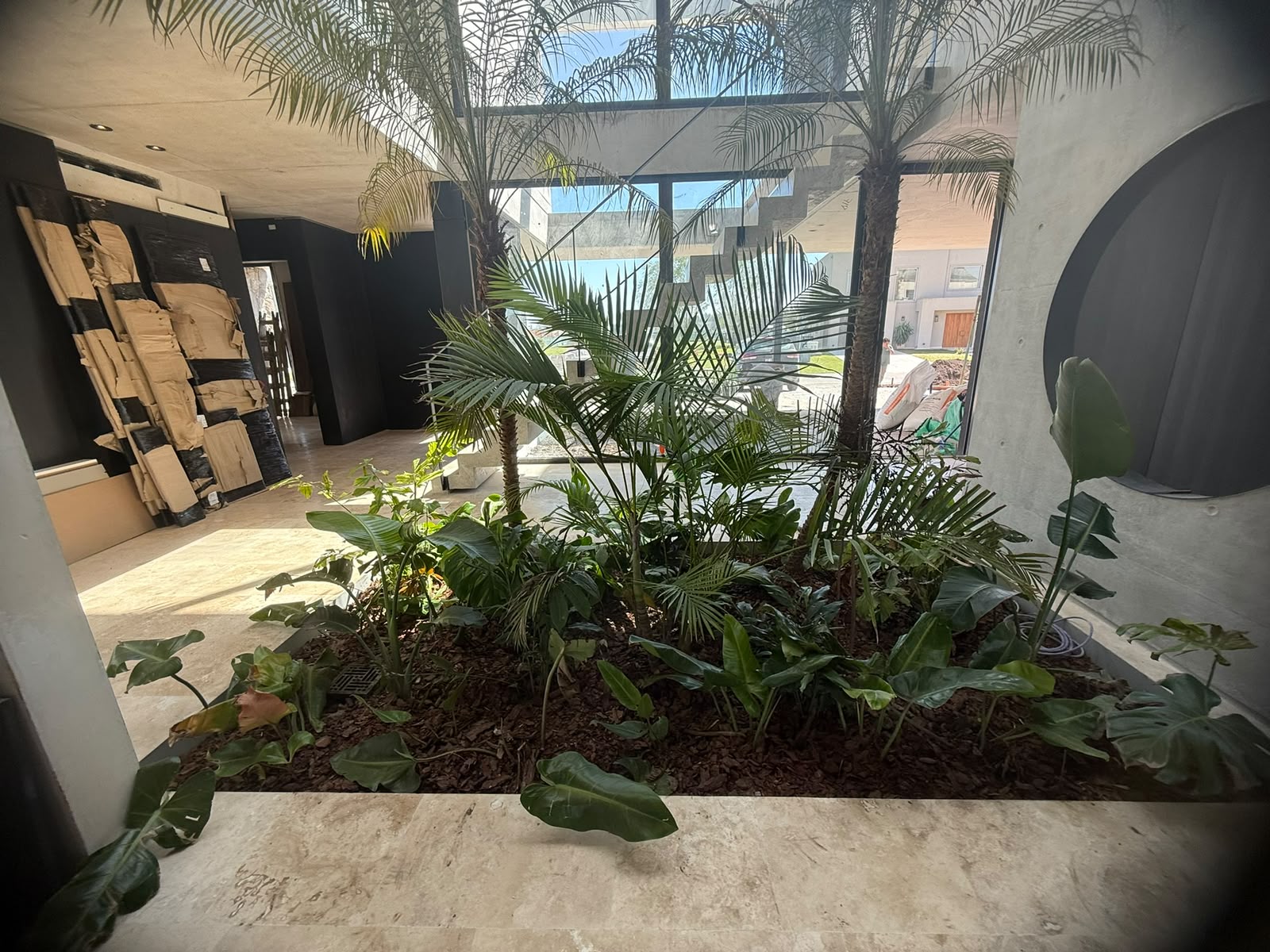 Colocación de Césped Grama Bahiana Premium